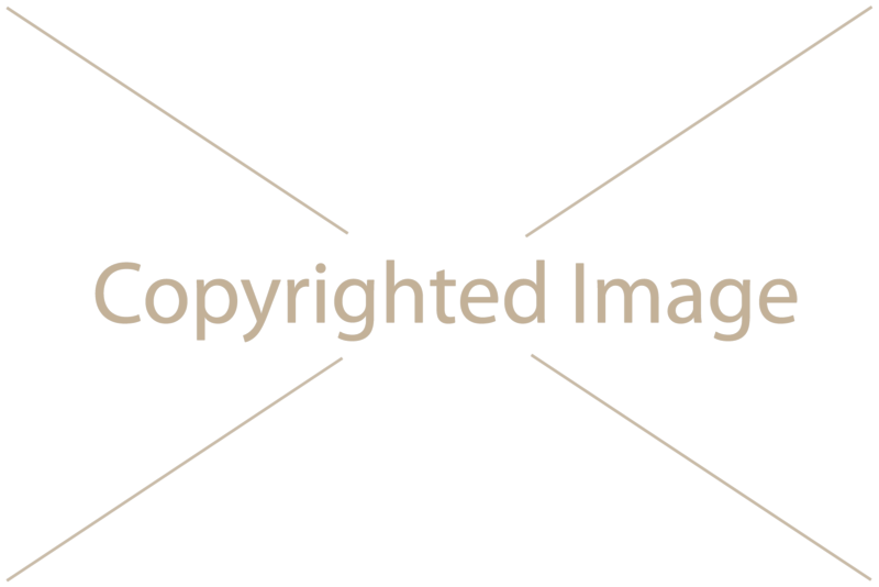 Водяной знак